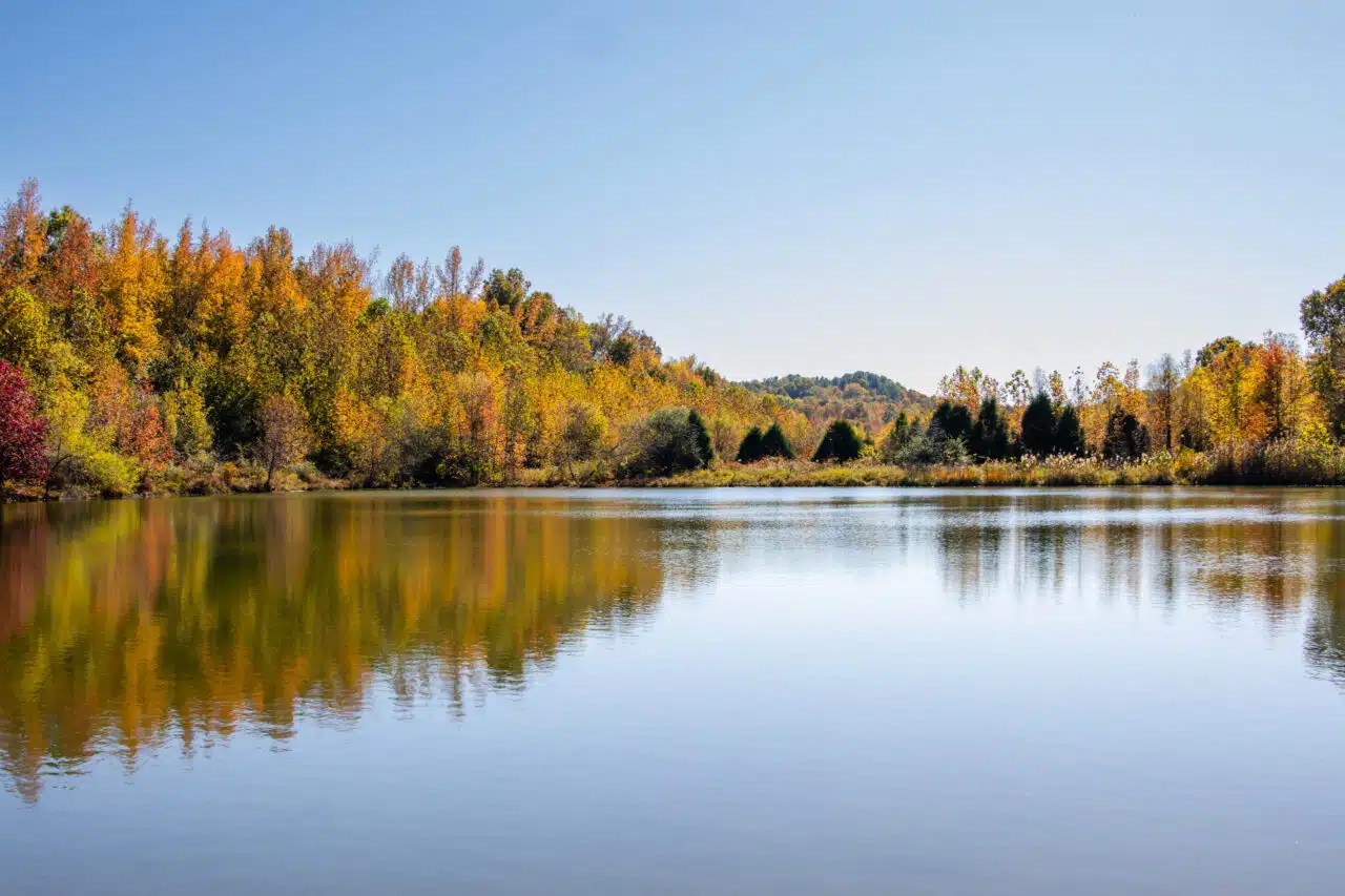 Lake Beshear near Madisonville, Ky.